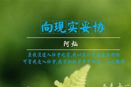 学会向生活妥协是什么意思