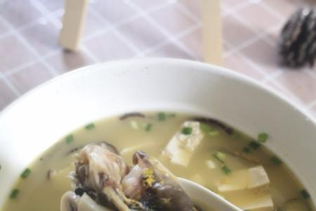 昂刺鱼炖豆腐汤为啥不白