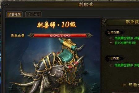 征神之路魂玉掉落有上限吗