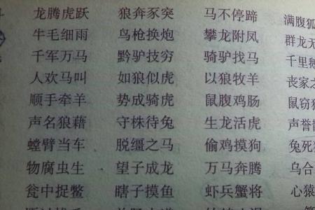 形容新婚妻子表情的成语