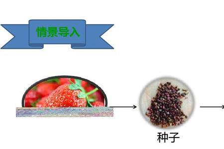 绿豆是有性生殖还是无性生殖