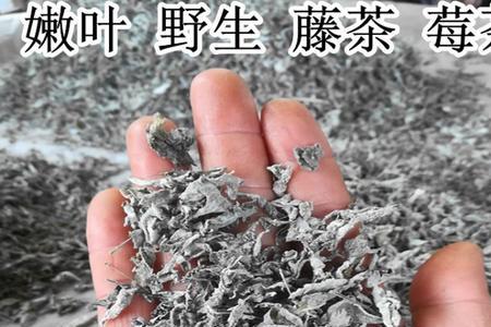 云南莓茶产地