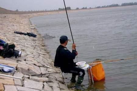 湖里天冷河边没鱼吗