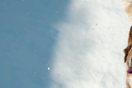 雪橇犬巴克背景音乐叫什么名字