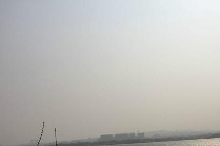 莱州湖有多大