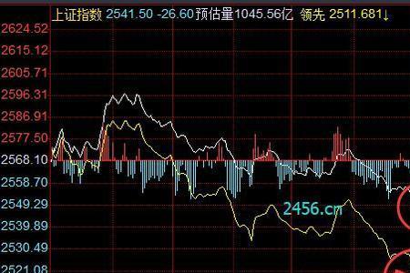 股票中的SST是什么意思