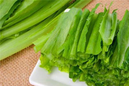 羊吃油麦菜吗