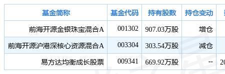 雪人股h股份是基金重仓股吗