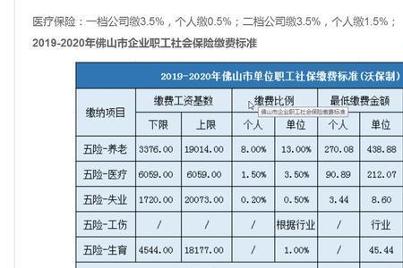 佛山是哪一年有社保的