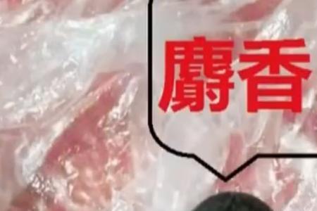 獐子的麝香如何保存