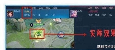 制裁之刃和不死鸟之眼能抵消吗