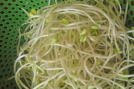 泡椒豆芽的腌制方法