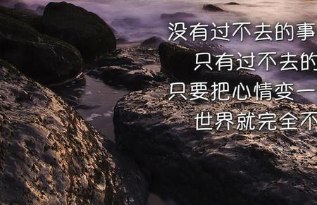 事过不追什么意思