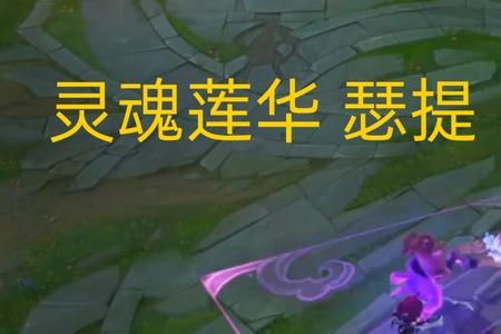 瑟提灵魂莲华和神龙尊者哪个好