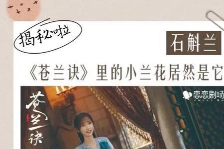 苍兰诀小兰花怀孕难产