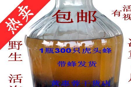 黄蜂泡酒用什么香型的好