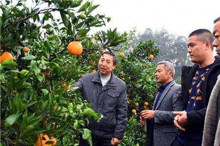 乡村振兴专员是全国性的吗
