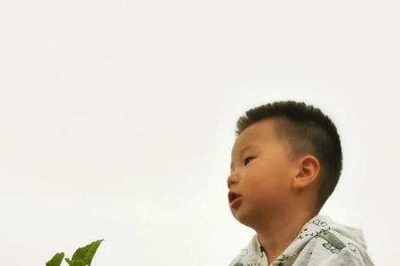 南瓜摘顶的方法