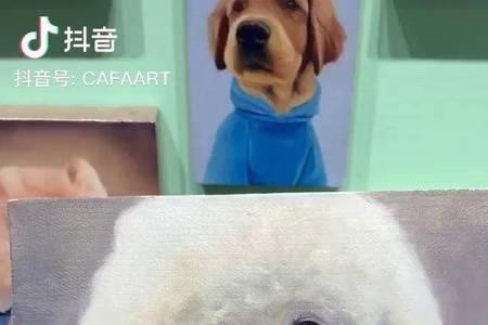 比熊临产前征兆和生产全过程