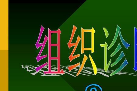 组织应满足的要求不包括什么