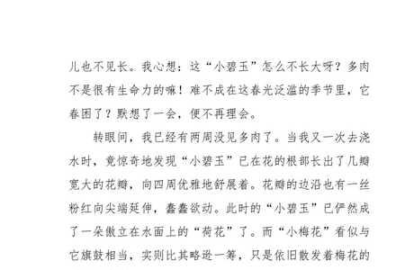观察日记最少多少字