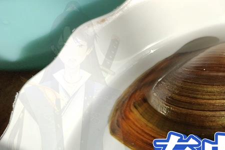 鱼缸里的飞碟虫怎么消灭