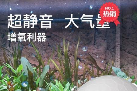 鱼缸制氧机不出气泡怎么办