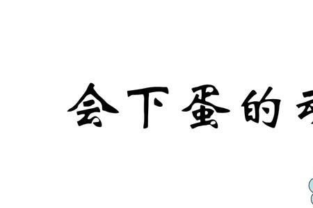 下蛋动物属于什么类
