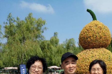 天津一家人有几个小孩子