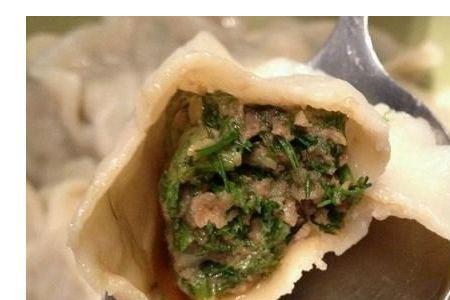 茴香菜和啥菜包饺子好吃