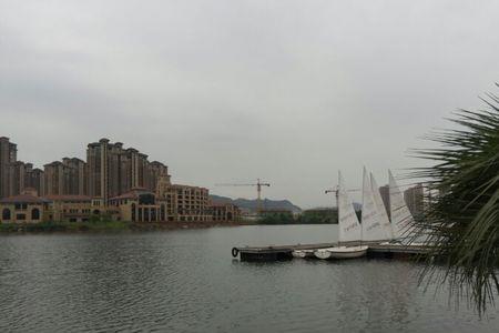 东海闲湖城的湖臭不臭