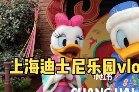 迪士尼开车怎么接人