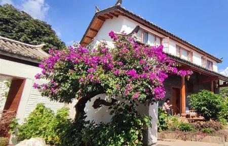 攀枝花仁和区有包吃住的民宿吗