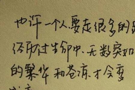 失去你只有回忆是什么意思