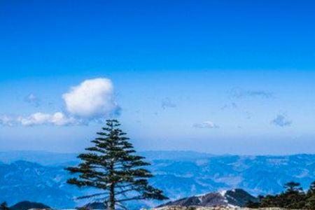 轿子雪山高还是牯牛寨山高
