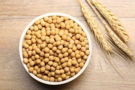黄豆夹不鼓怎么办