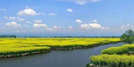 圩田是什么