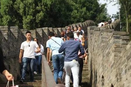 金龙长城可以带宠物吗