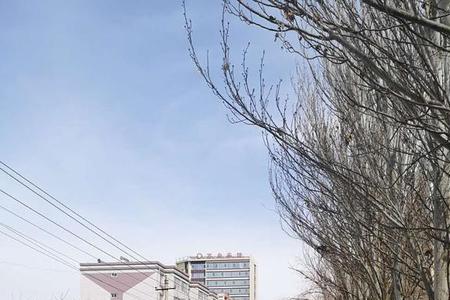 嘉峪关六岔路口晚上人多吗