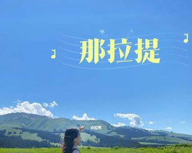 和田到那拉提多少公里