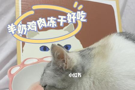猫咪可以喝人类的山羊奶吗