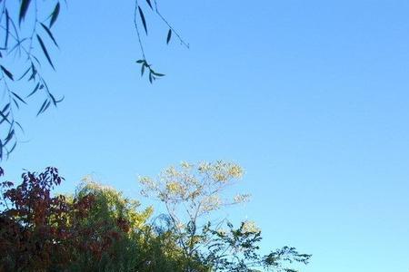 清晨与早晨的细微区别