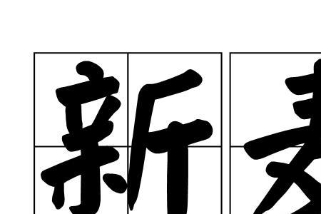 新麦52怎么样
