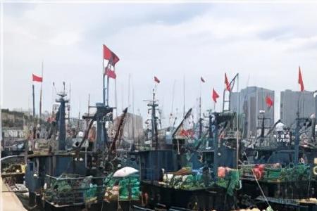 青岛西海岸有哪几个渔码头