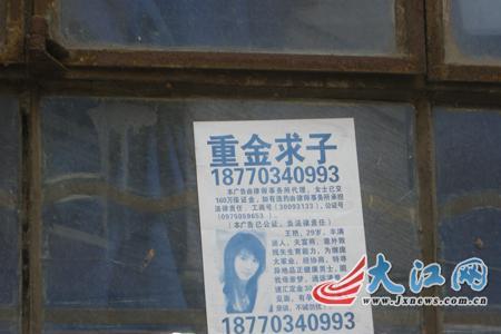 重金求子算是成语吗