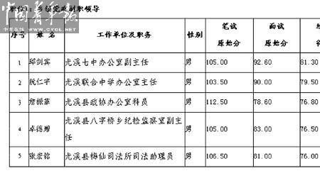 哪类干部提拔需注明试用期一年