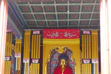 卧佛寺中蒲先生是谁
