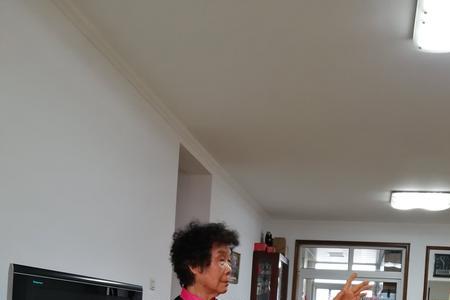 24式太极手挥琵琶是脚跟着地吗
