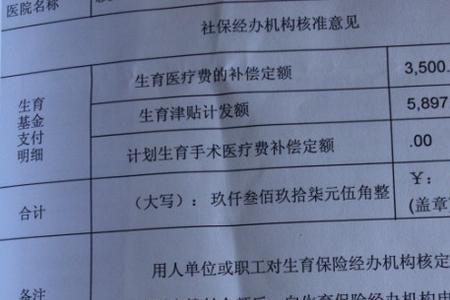 深圳社保生育津贴审核需要多久