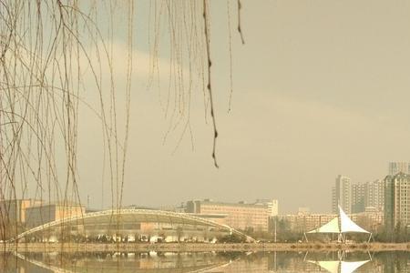 三门峡开发区和湖滨区哪个大